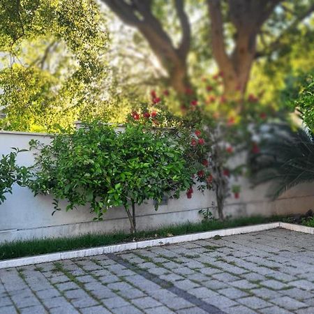 Apartments Villa Alba Дубровник Екстер'єр фото